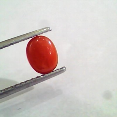 1.43 Carat Natural Italian Red Coral Moonga Gemstone AAAA