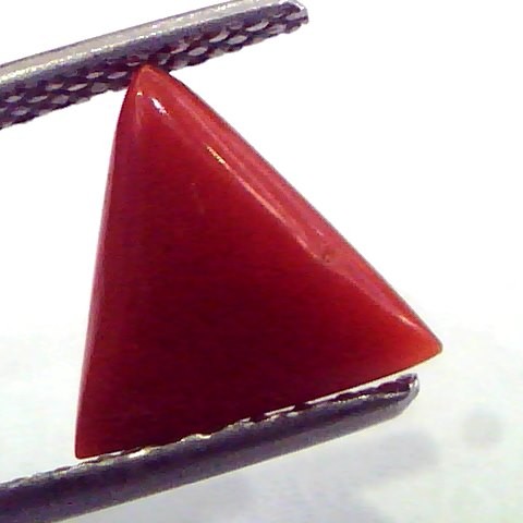 1.77 Carat Natural Italian Triangle Red Coral Moonga Gemstone