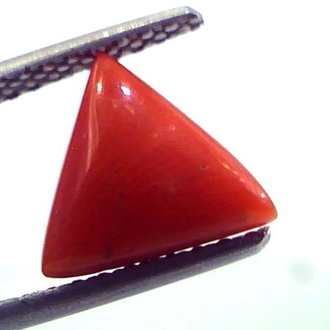 1.77 Carat Natural Italian Triangle Red Coral Moonga Gemstone