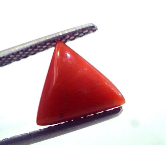 1.77 Carat Natural Italian Triangle Red Coral Moonga Gemstone