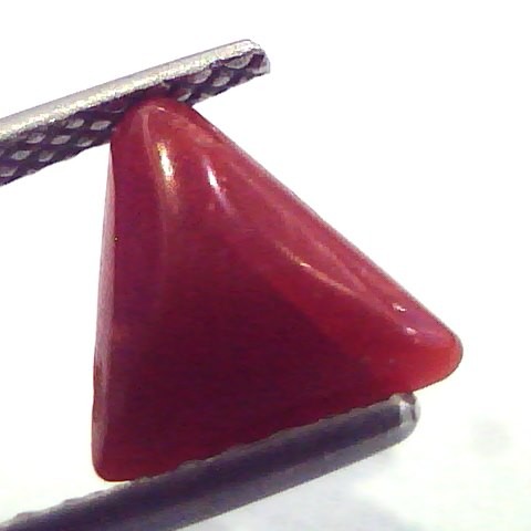 1.82 Carat Natural Italian Triangle Red Coral Moonga Gemstone