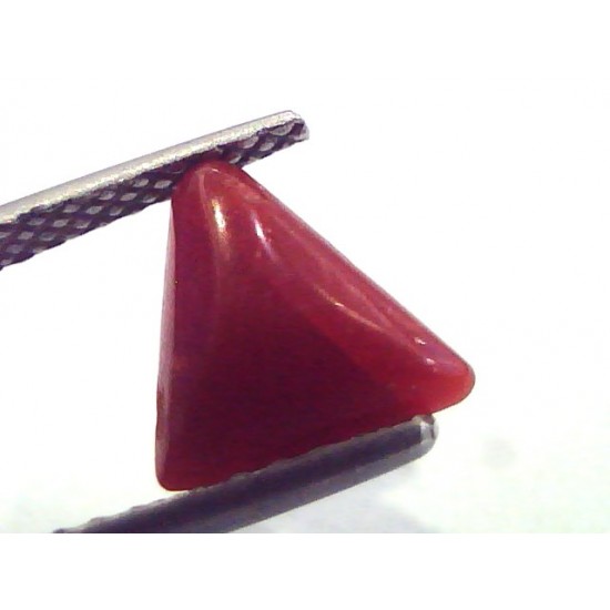 1.82 Carat Natural Italian Triangle Red Coral Moonga Gemstone
