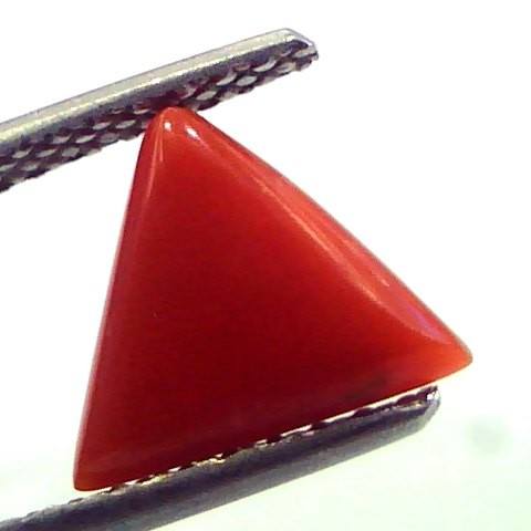 1.83 Carat Natural Italian Triangle Red Coral Moonga Gemstone