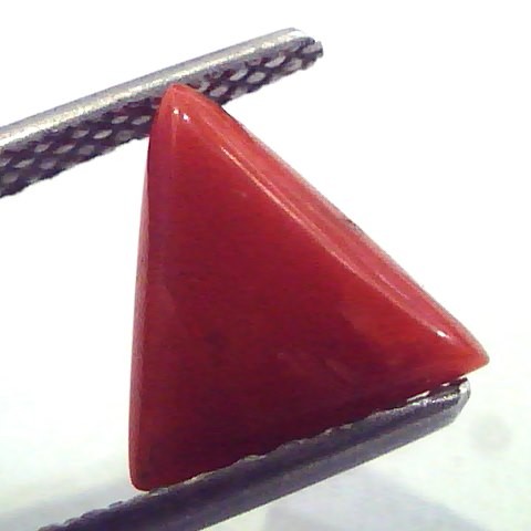 1.87 Carat Natural Italian Triangle Red Coral Moonga Gemstone