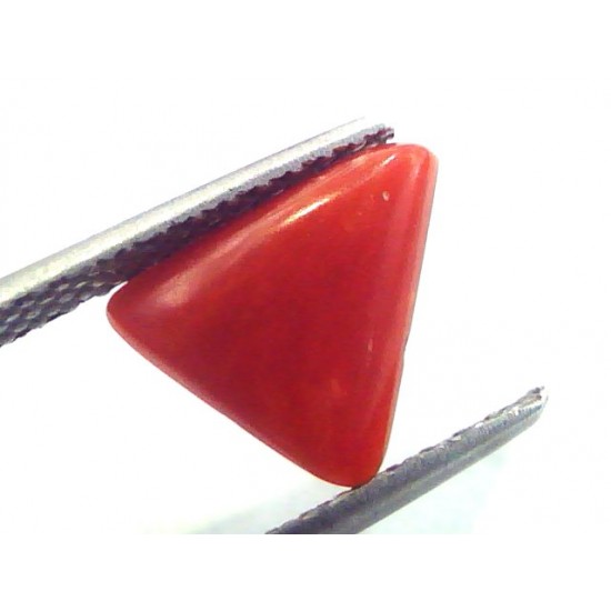 1.89 Carat Natural Italian Triangle Red Coral Moonga Gemstone