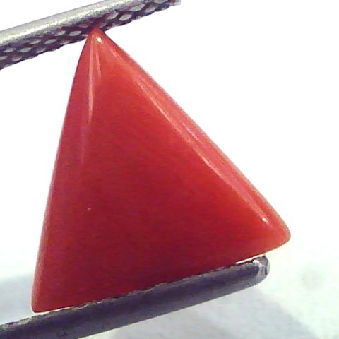1.91 Carat Natural Italian Triangle Red Coral Moonga Gemstone
