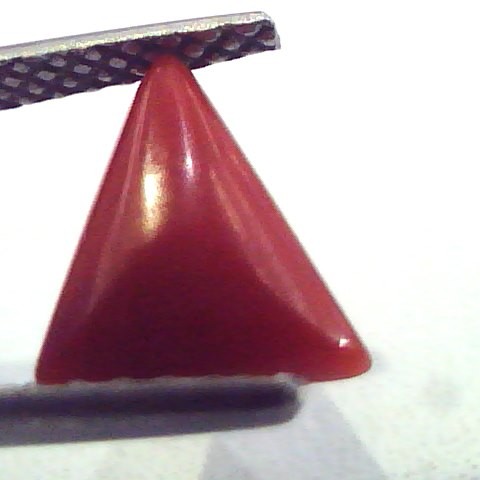 1.96 Carat Natural Italian Triangle Red Coral Moonga Gemstone