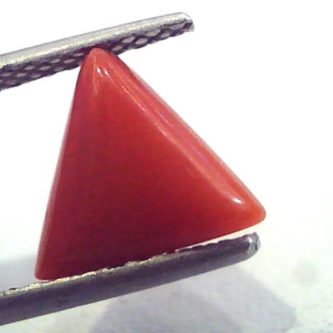 1.97 Carat Natural Italian Triangle Red Coral Moonga Gemstone