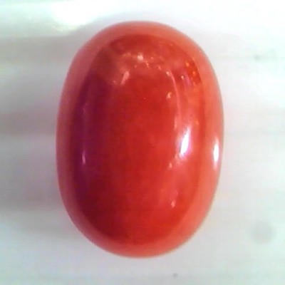 Huge 10.87 Ct Untreated Natural Premium Italian Red Coral Gems AAA