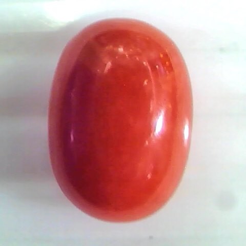 Huge 10.87 Ct Untreated Natural Premium Italian Red Coral Gems AAA