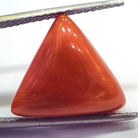 Huge 11.10 Ct 17 Ratti Natural Italian Triangle Red Coral Moonga Stone