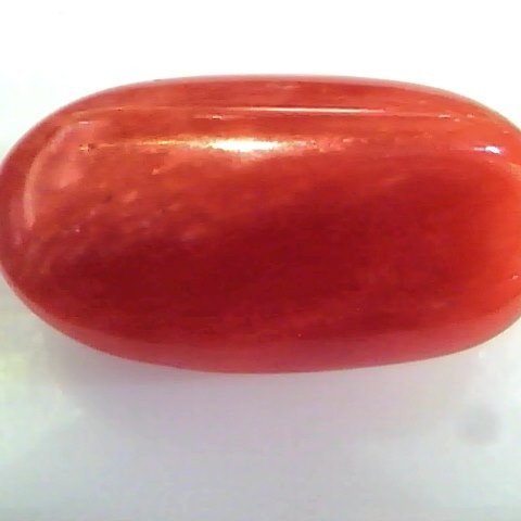 Huge 11.23 Ct Untreated Natural Premium Italian Red Coral Gems AAA