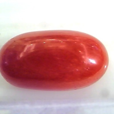 Huge 11.23 Ct Untreated Natural Premium Italian Red Coral Gems AAA