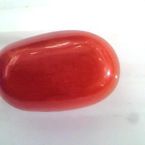 Huge 11.56 Ct Untreated Natural Premium Italian Red Coral Gems AAA