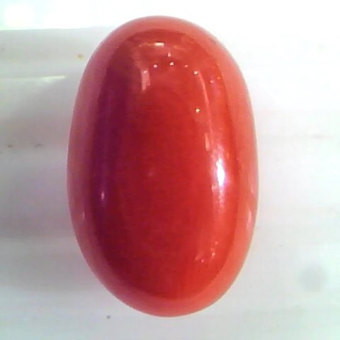 Huge 11.56 Ct Untreated Natural Premium Italian Red Coral Gems AAA