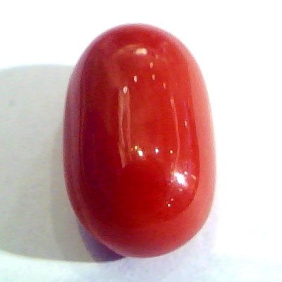 Huge 11.81 Ct Untreated Natural Premium Italian Red Coral AAAAA