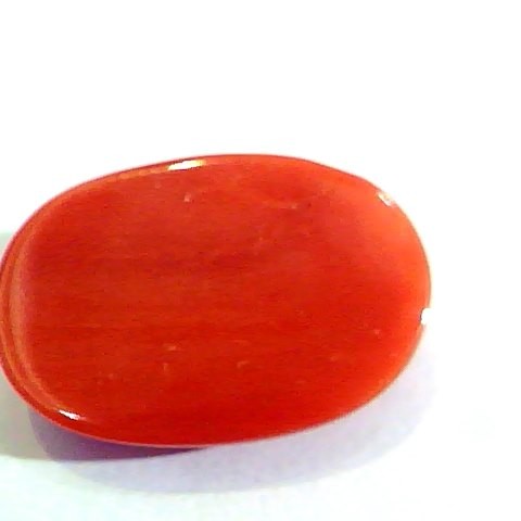 Huge 12.00 Ct Untreated Natural Premium Italian Red Coral AAAAA