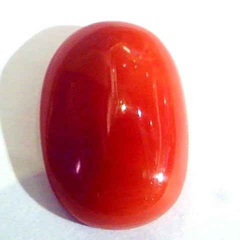 Huge 12.00 Ct Untreated Natural Premium Italian Red Coral AAAAA