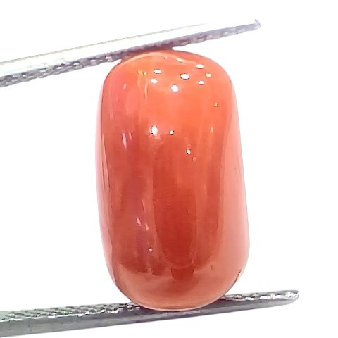 Huge 12.43 Ct Natural Untreated Italian Red Coral Moonga Gemstone Huge 12.43 Ct Natural Untreated Italian Red Coral Moonga Gemstone