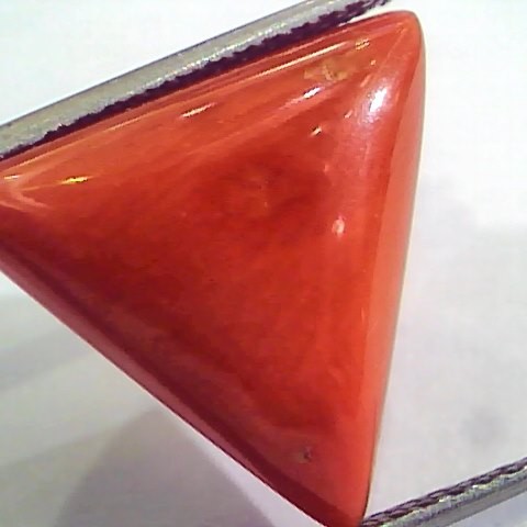 Huge 12.92 Ct Untreated Natural Italian Triangle Red Coral AAA