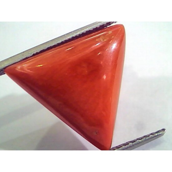 Huge 12.92 Ct Untreated Natural Italian Triangle Red Coral AAA