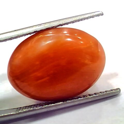 Huge 14.15 Ct 23.3 Ratti Natural Untreated Japan Red Coral Moonga Gems