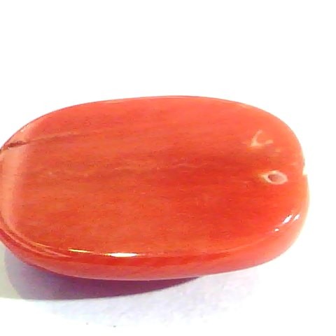 Huge 14.21 Ct Untreated Natural Premium Italian Red Coral AAAAA