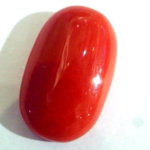 Huge 14.21 Ct Untreated Natural Premium Italian Red Coral AAAAA