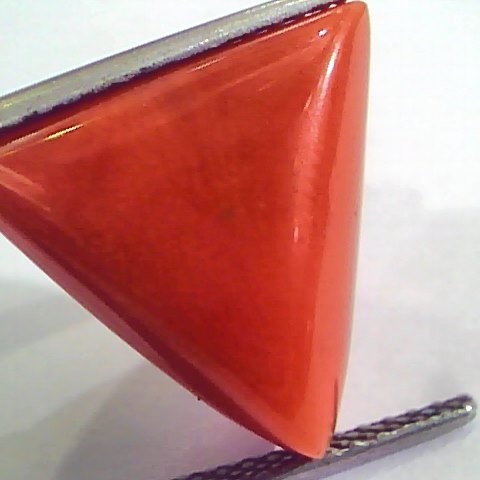Huge 14.57 Ct Untreated Natural Italian Triangle Red Coral AAA