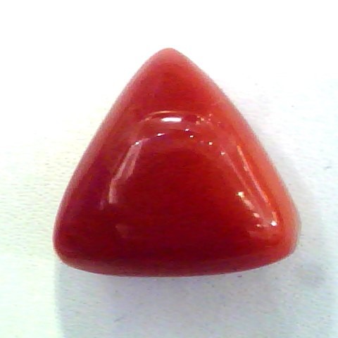 Huge 16.03 Ct Untreated Undyed Natural Italian Triangle Red Coral