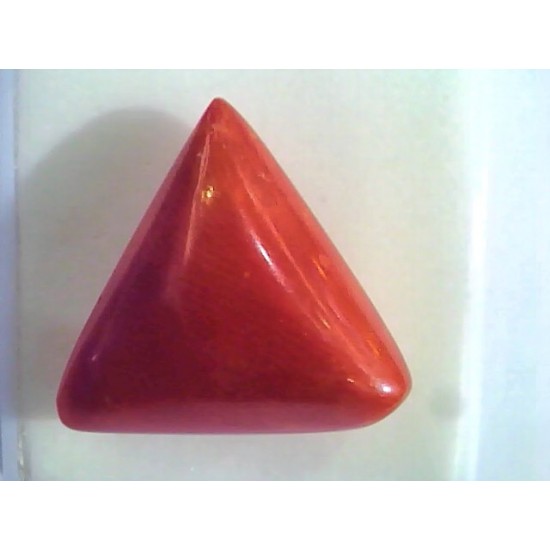 Huge 16.50 Ct Untreated Natural Italian Triangle Red Coral AAA