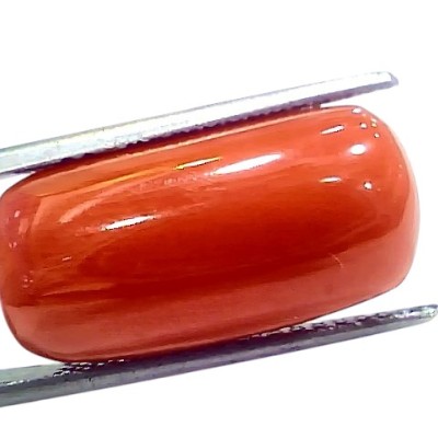 Huge 16.65 Ct Natural Untreated Italian Red Coral Moonga Gemstone Huge 16.65 Ct Natural Untreated Italian Red Coral Moonga Gemstone
