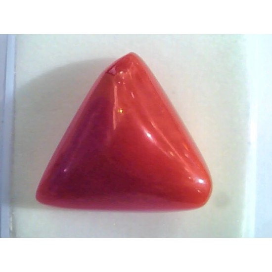 Huge 16.63 Ct Untreated Natural Italian Triangle Red Coral AAA