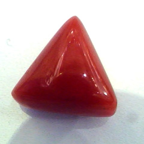Huge 17.1 Ct Untreated Undyed Natural Italian Triangle Red Coral