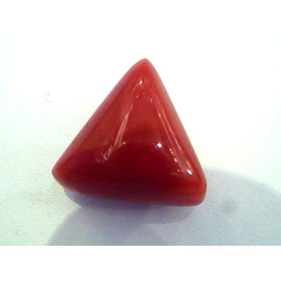 Huge 17.1 Ct Untreated Undyed Natural Italian Triangle Red Coral