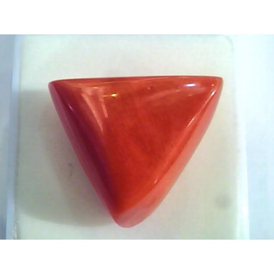 Huge 17.90 Ct Untreated Natural Italian Triangle Red Coral AAA