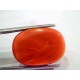 Huge 17.65 Ct Untreated Natural Italian Red Coral Gemstones AAA