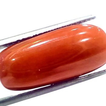 Huge 18.58 Ct Natural Untreated Italian Red Coral Moonga Gemstone Huge 18.58 Ct Natural Untreated Italian Red Coral Moonga Gemstone