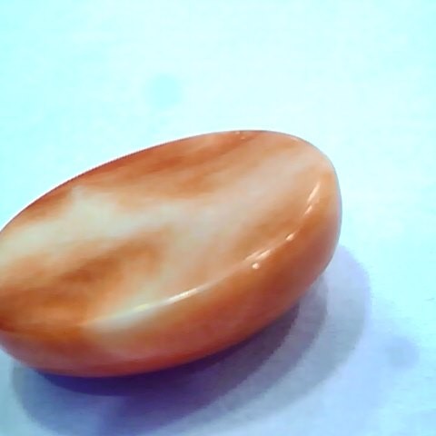 Huge 19.21 Ct 31 Ratti Natural Untreated Japan Red Coral Moonga Gems