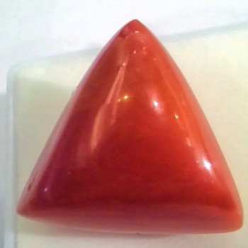 Huge 19.25 Ct Untreated Natural Italian Triangle Red Coral AAA