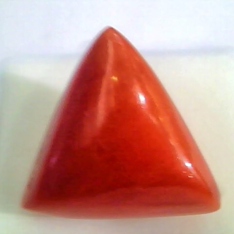 Huge 19.25 Ct Untreated Natural Italian Triangle Red Coral AAA