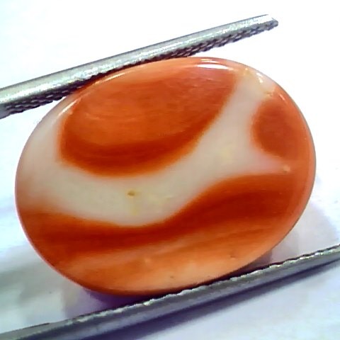 Huge 19.70 Ct 32 Ratti Natural Untreated Japan Red Coral Moonga Gems