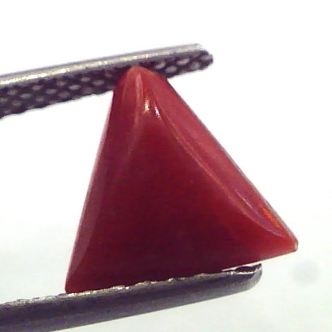 2.18 Carat Natural Italian Triangle Red Coral Moonga Gemstone