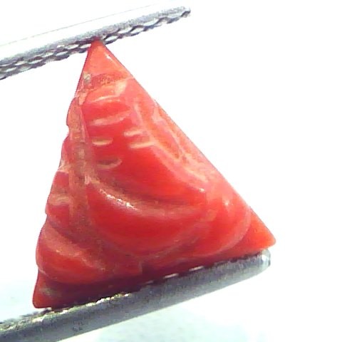 2.21 Carat Natural Italian Triangle Red Coral Moonga Gemstone