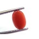 2.28 Ct 3.8 Ratti Natural Untreated Italian Red Coral Moonga Gems
