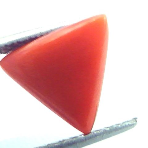 2.30 Carat Natural Italian Triangle Red Coral Moonga Gemstone