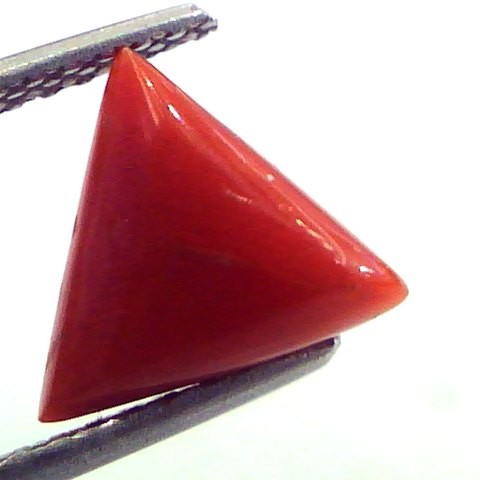 2.40 Carat Natural Italian Triangle Red Coral Moonga Gemstone