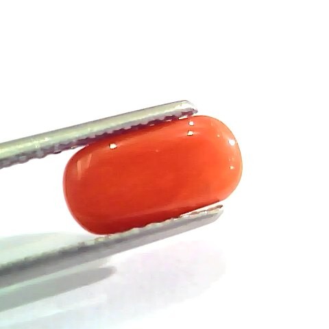 2.44 Ct 4 Ratti Natural Italian Red Coral Moonga Gemstone AAAA
