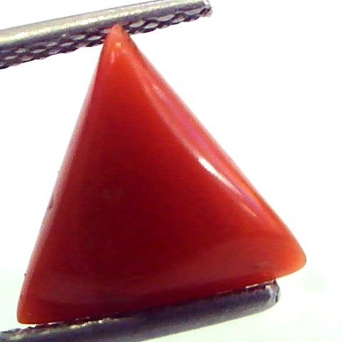 2.45 Carat Natural Italian Triangle Red Coral Moonga Gemstone