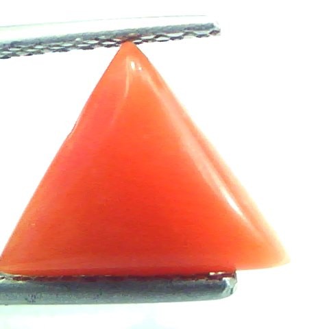2.49 Carat Natural Italian Triangle Red Coral Moonga Gemstone